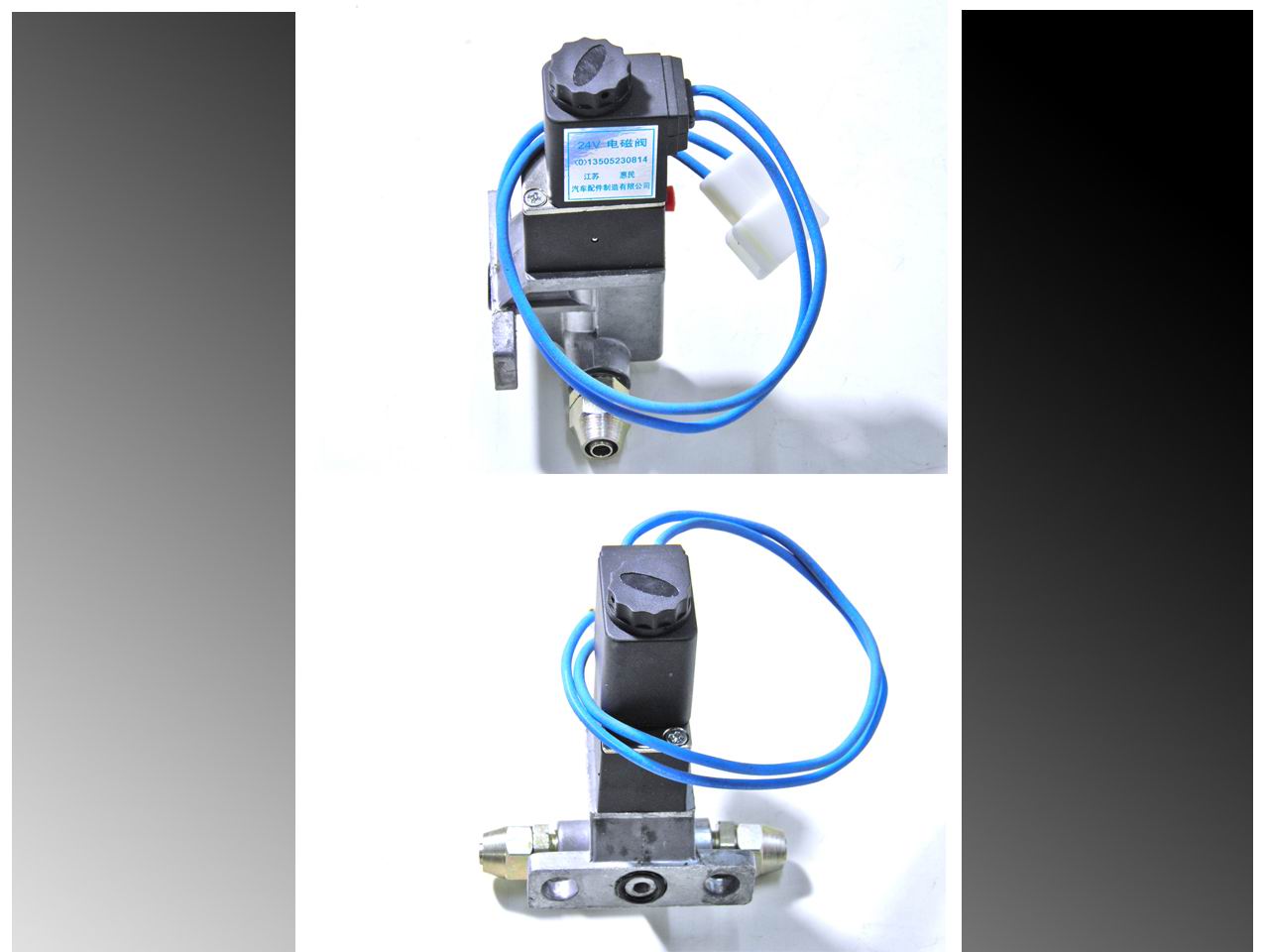 Door pump solenoid valve-1