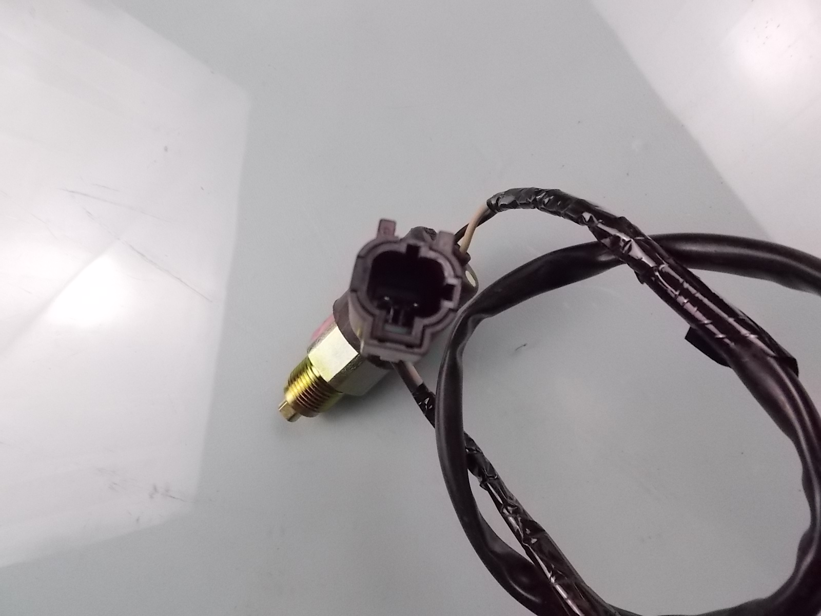 Neutral switch assembly-1