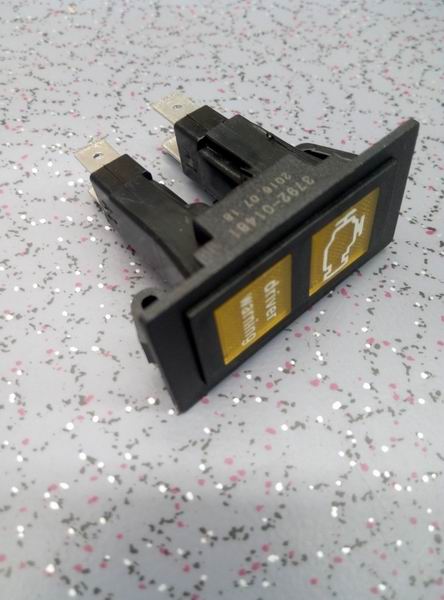 Engine Diagnosis/Driver Warning Indicator Light, JK982