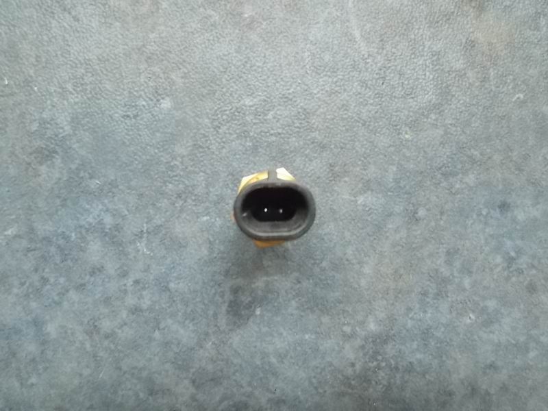 Intake temperature and water temperature sensor-2