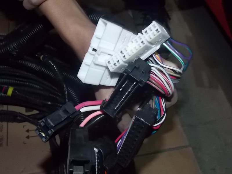 D Dual Fuel Engine Wire Harness (CA4GNE3) ZK6608D-1