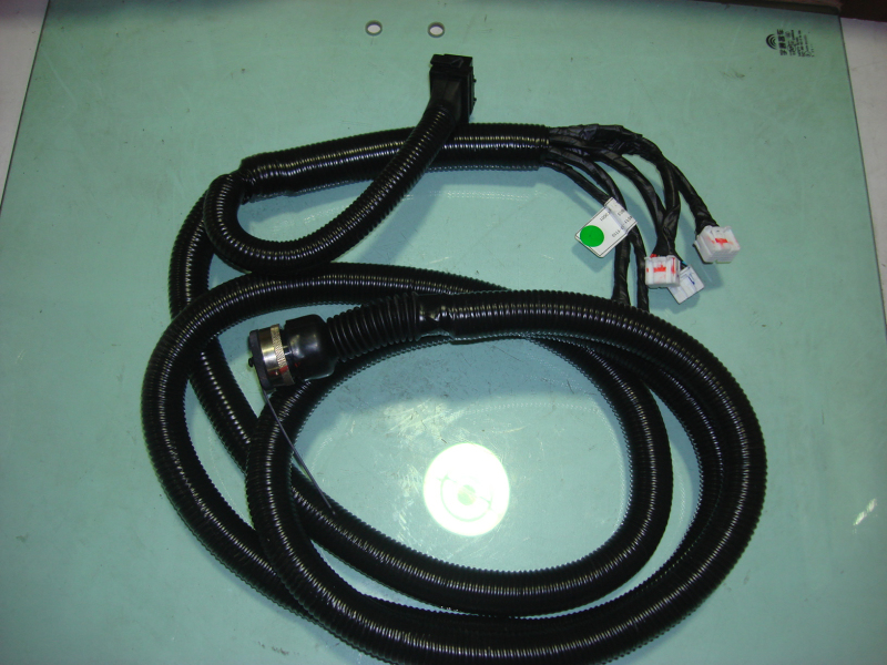 Harness assembly - engine to ECU