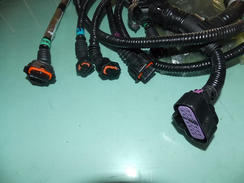 Engine wiring harness (sensor to ECU)
