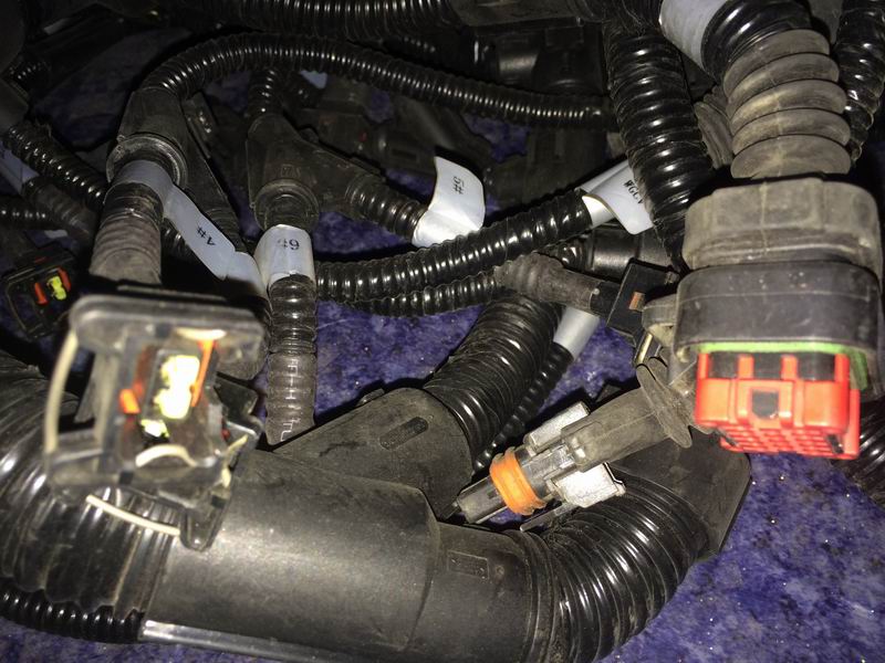 Engine ECU wiring harness; connect ECU to vehicle wiring harness-2