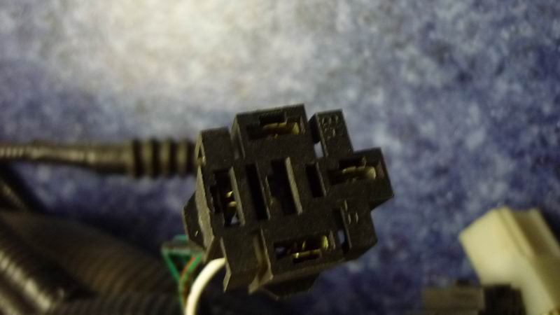 D 6831HG main harness 48499 order-2