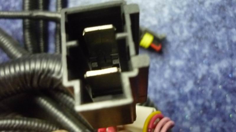 D 6831HG main harness 48499 order-4