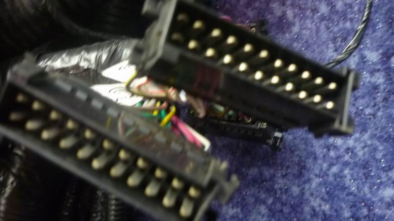 Main wire harness ZK6127HS WP10.375 domestic CAN