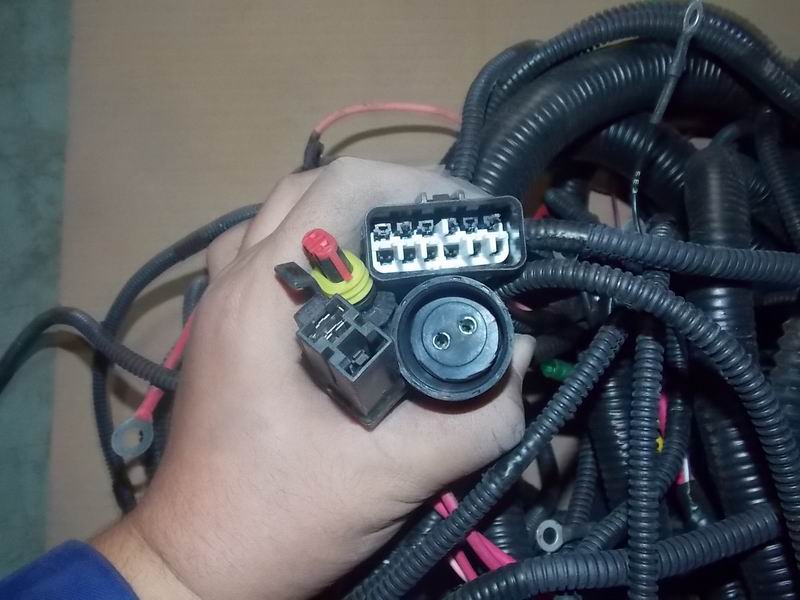 D Chassis Wire Harness 6898H-1