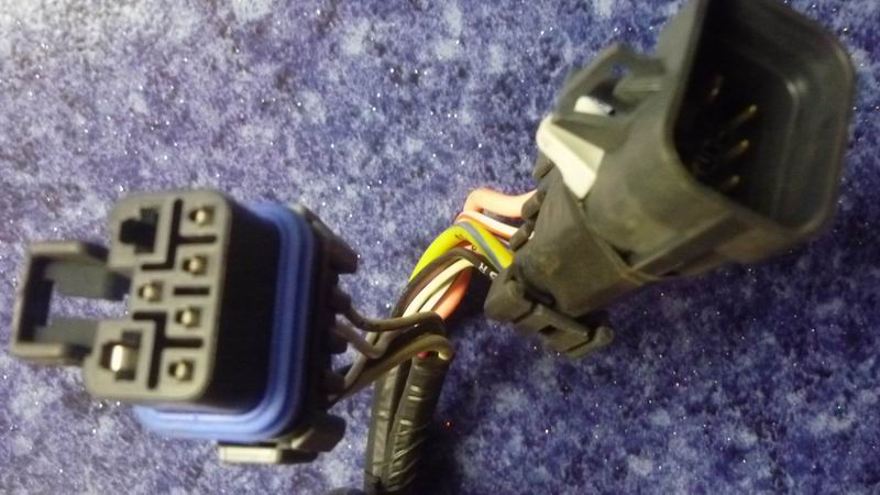 D 6831HG chassis harness-1
