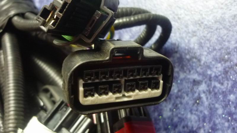 D 6831HG chassis harness-2