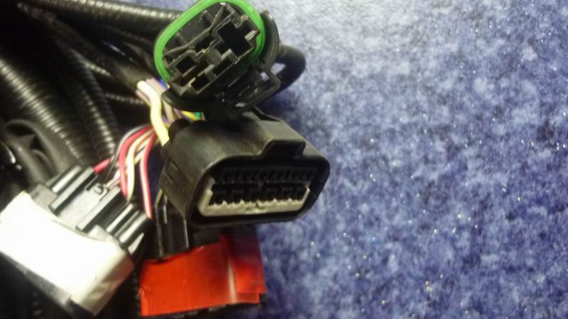 D 6831HG chassis harness-3