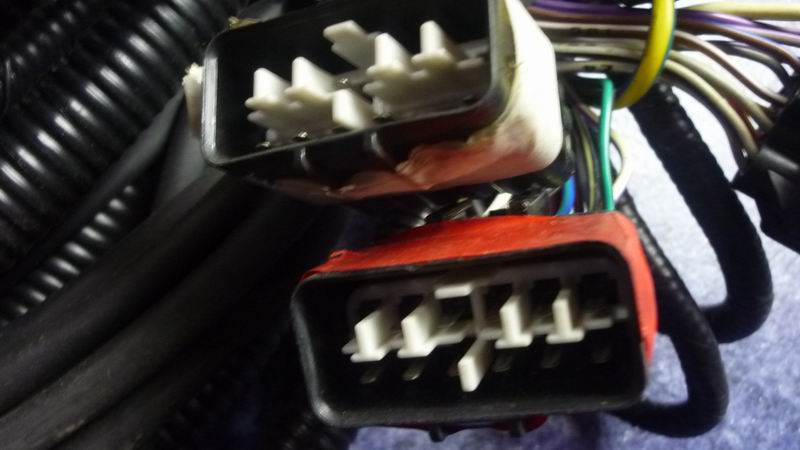 D 6831HG chassis harness-4