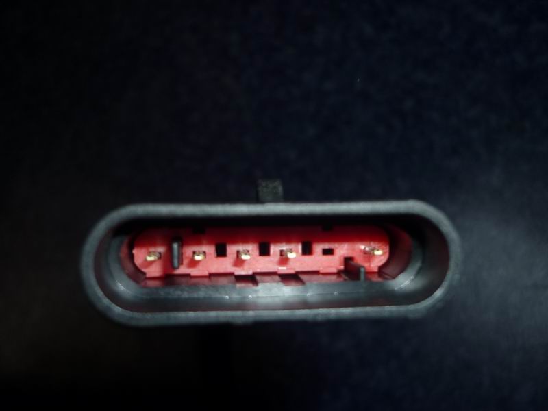 Combined rear taillight assembly; no decorative panel