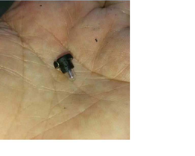 Light bulb; 24V 0.04A/1W