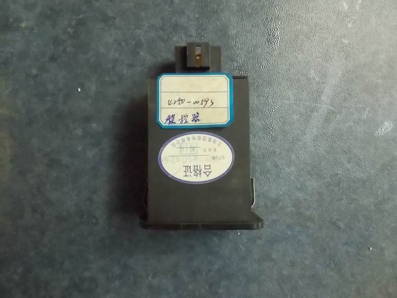 Программируемый контроллер ( 24V / 10h )