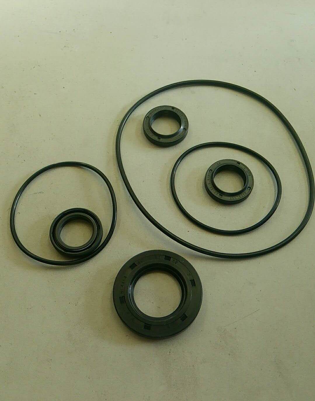 Oil seal repair bag