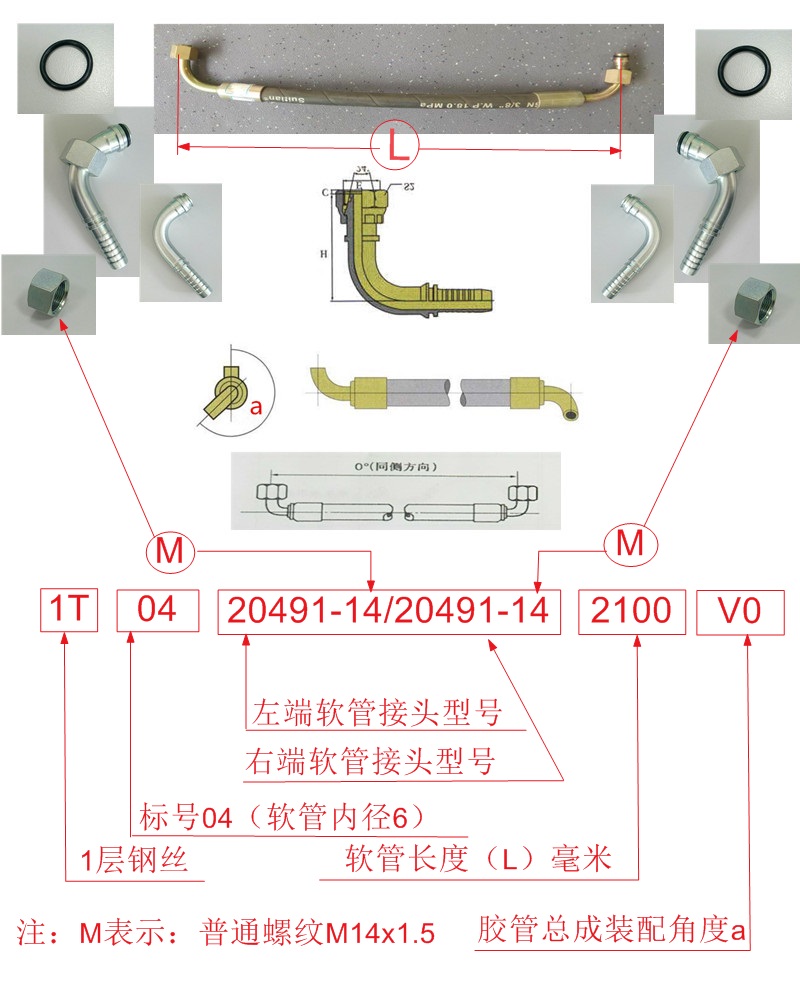 Hose assembly 1-6-H33-2100V0