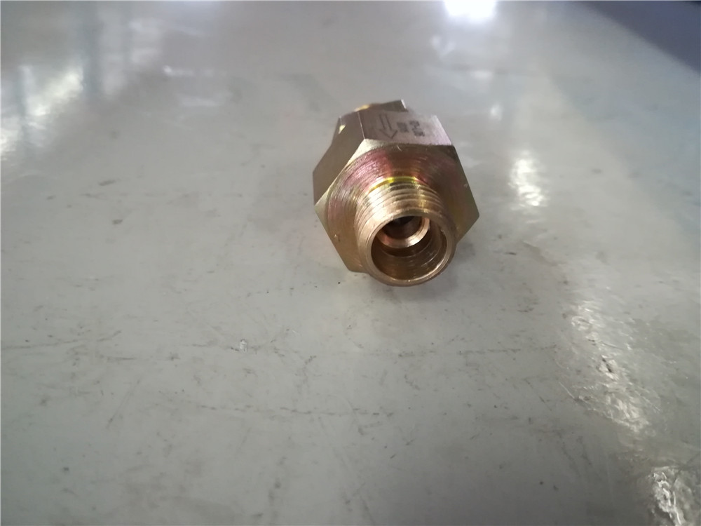 Check valve C-RD-L08-1