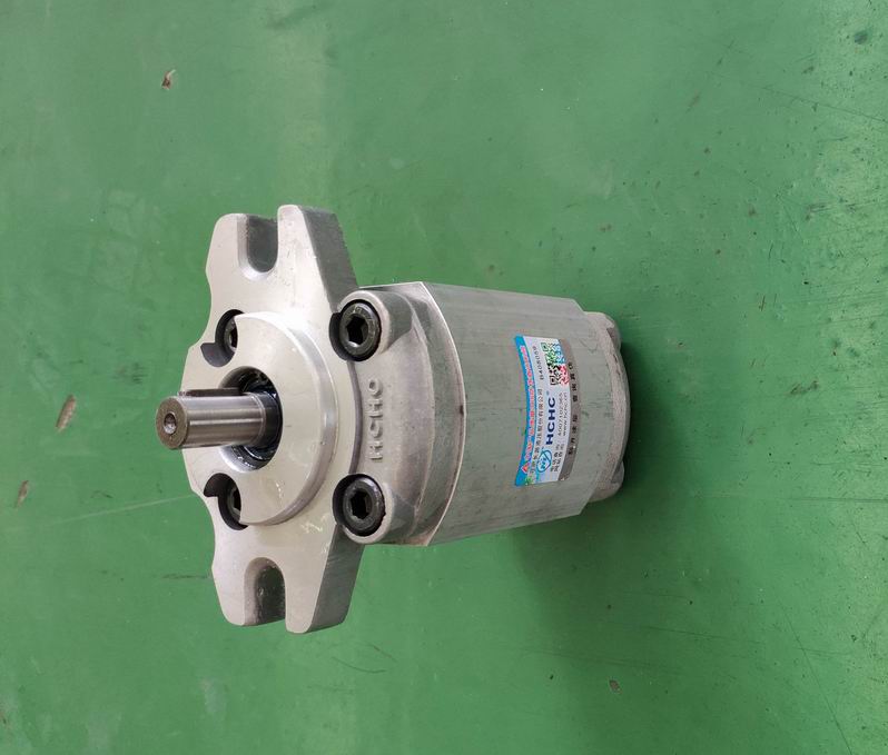 Шестеренный насос CBWmb-F6. 0-ALP