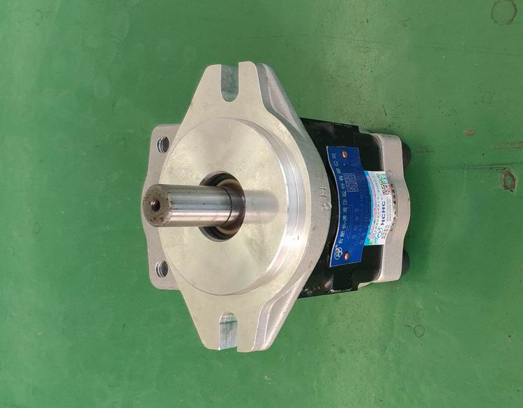 CBHC-F 11-ALPR Шестеренчатый насос