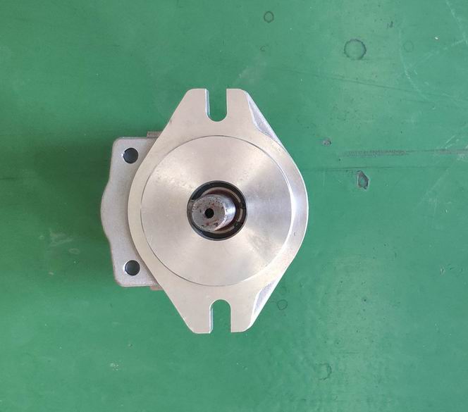 CBHC-F11-ALPR Gear Pump-1