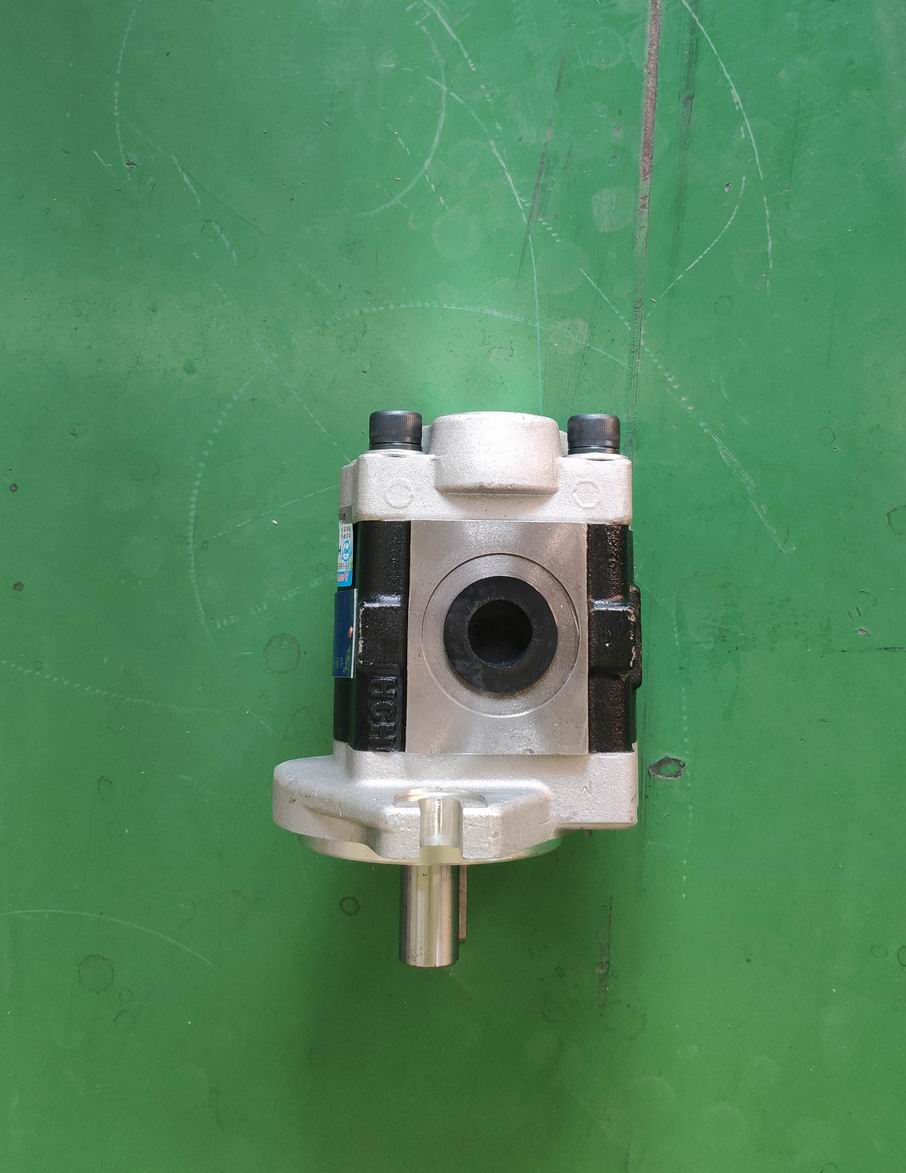 CBHC-F11-ALPR Gear Pump-3