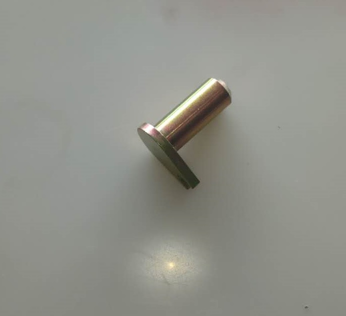 Pin shaft-1