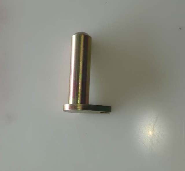 Pin shaft-1