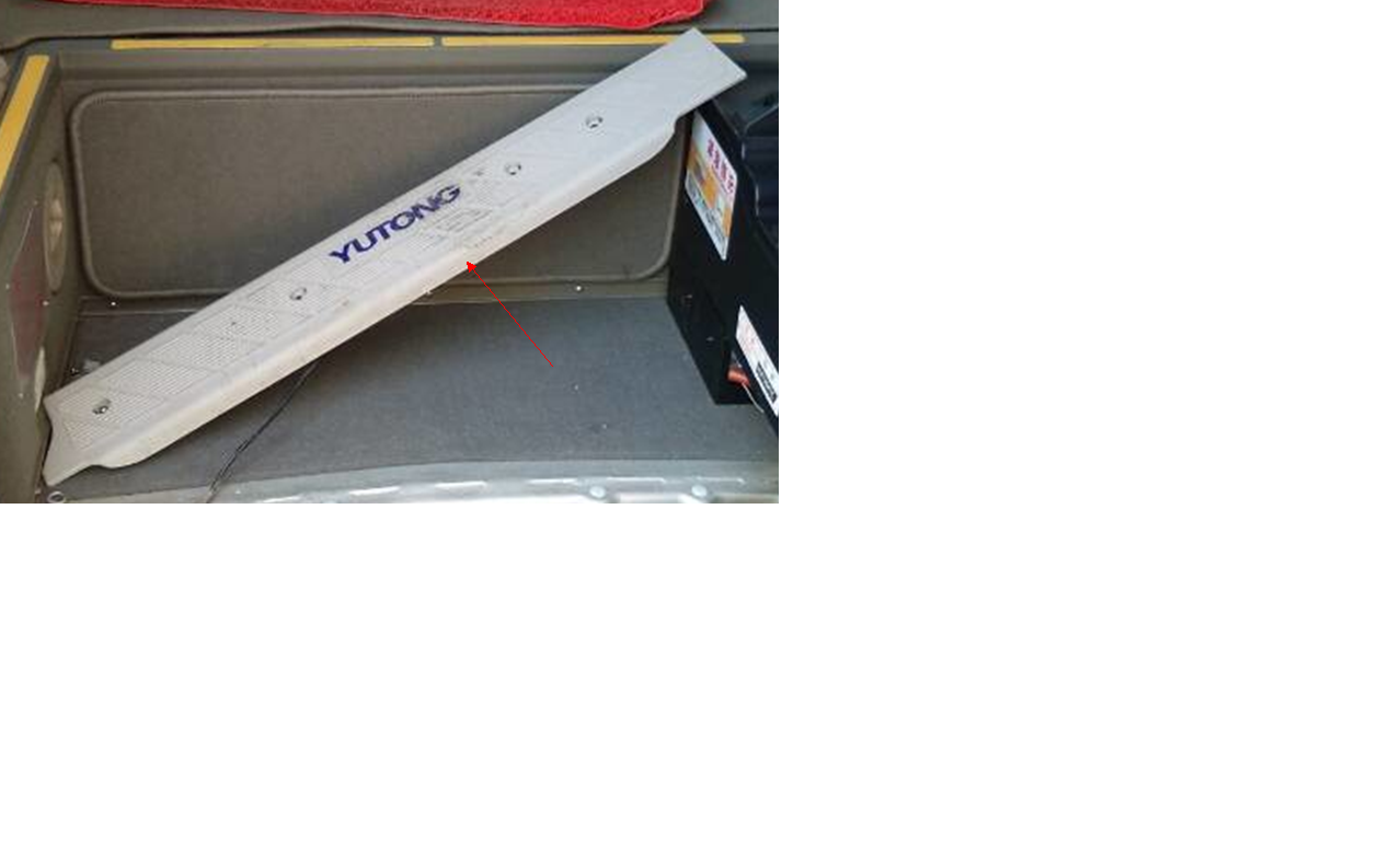 Passenger door stepping welcome strip (with welcome lamp)