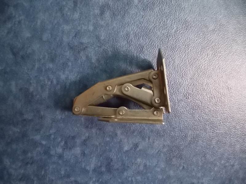 Stepping door hinges-2