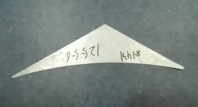 Skeleton irregular flat piece, ZK6118-1