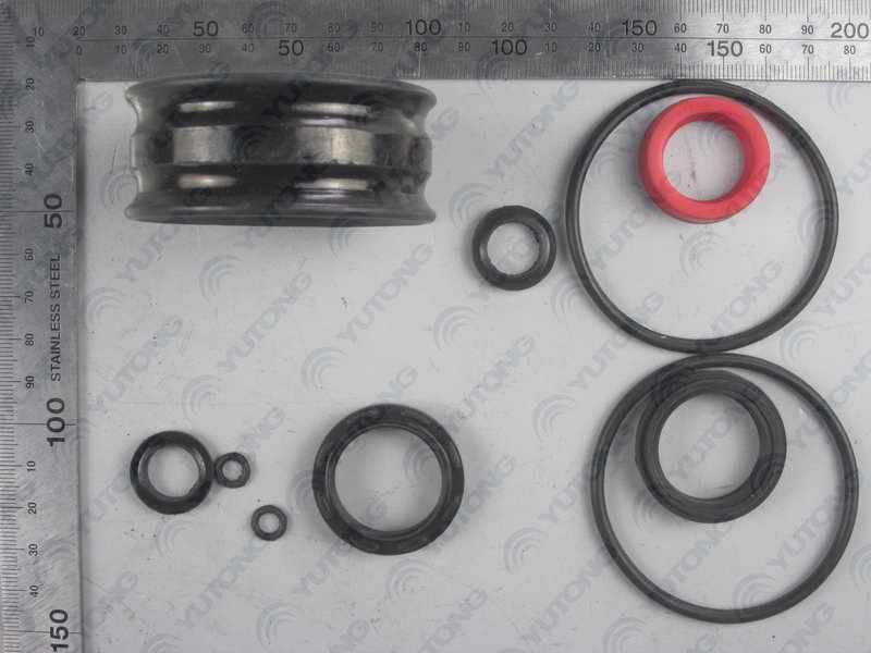 Door pump repair package; 10 pieces included-1