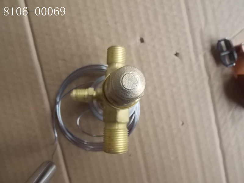 Expansion valve (TGEN 4.5)-1