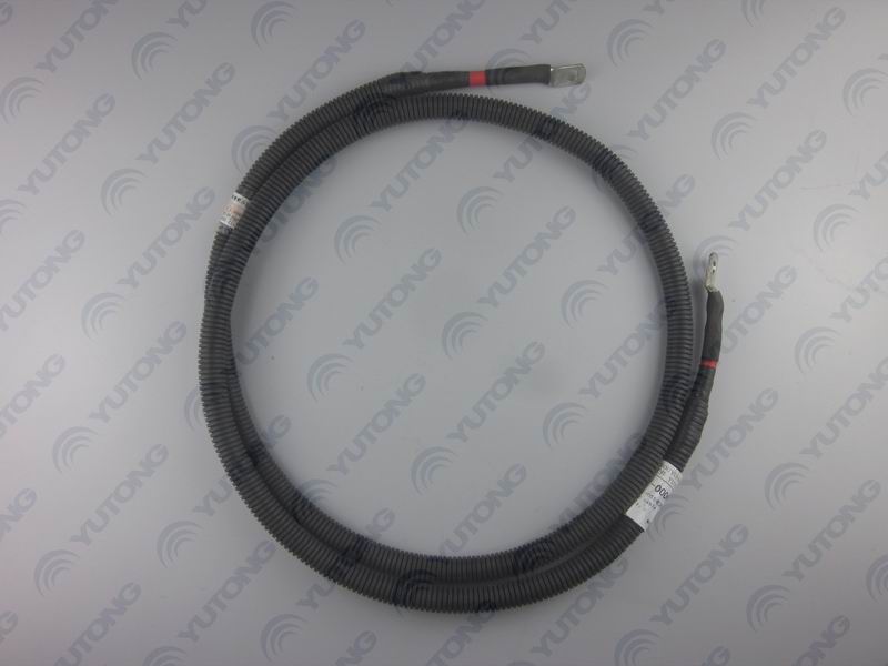 КЖД 21B-055 шнур питания в сборе