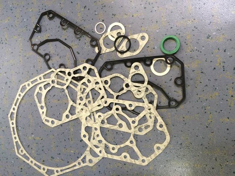 Bizel F600 overhaul bag (full set of gaskets, O-rings)