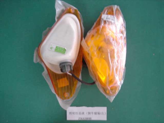 Side rear view lighting assembly-left-2