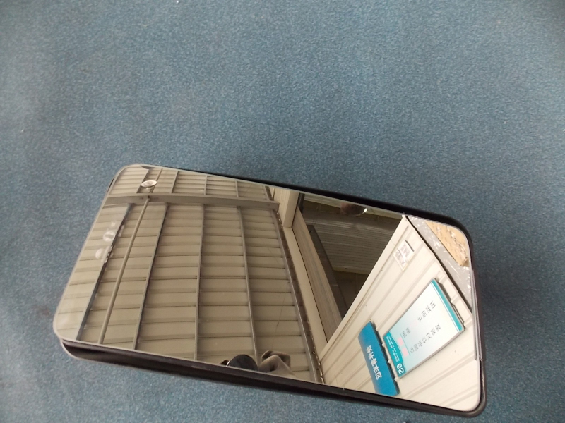 Reverse mirror lens assembly-left