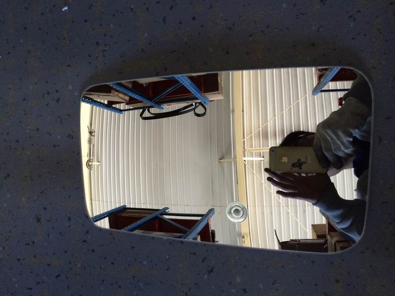 Reverse mirror assembly-left