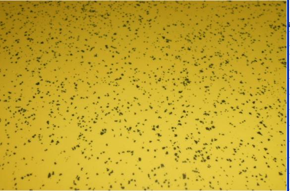 Bayi yellow wear-resistant black spot floor leather, 1.42*80
