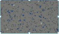 Xiezhong gray wear-resistant color dot quartz sand floor leather, 2*20